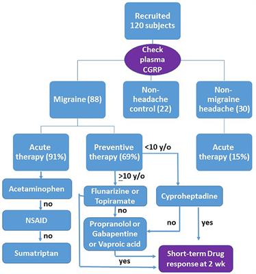 Plasma Calcitonin Gene-Related Peptide: A Potential Biomarker for Diagnosis and Therapeutic Responses in Pediatric Migraine